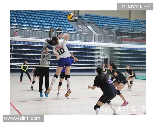 北京排球队的奋斗历程与冠军赛背后的成长故事